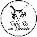 Profilbild von „Yvonne Bonse“